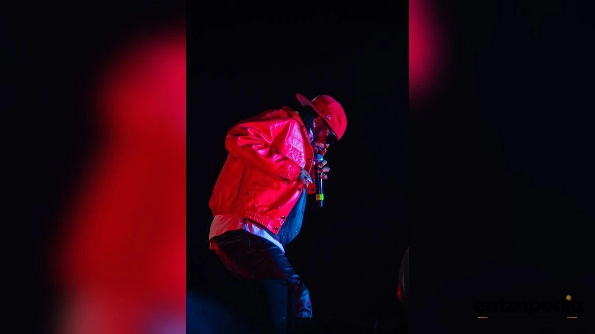 Diamond Platnumz Cancels Australia Shows in Dispute